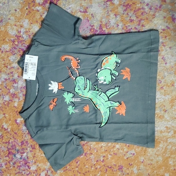The Children's Place Other - NWT Children's Place Green Dino Shirt Size 12 - 18 M